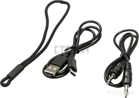 Беспроводная колонка DIALOG AP-11 (черный)