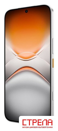 Телефон Tecno Pova 8 Pro 5G LK7 8GB/256GB (серебристый)