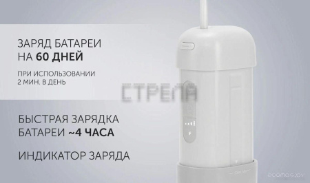 Ирригатор Polaris PWF 1002 T (серый)