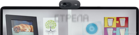 Веб-камера Logitech C505e