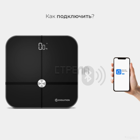 Напольные весы Evolution BTF3 (черный)