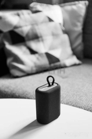 Беспроводная колонка Canyon CNE-CBTSP4BL