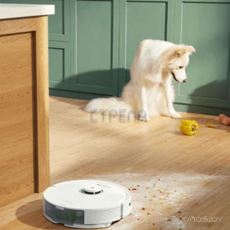 Робот-пылесос Roborock Q8 Max (русская версия, белый)