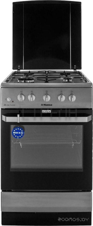 Кухонная плита Hansa FCGX58099