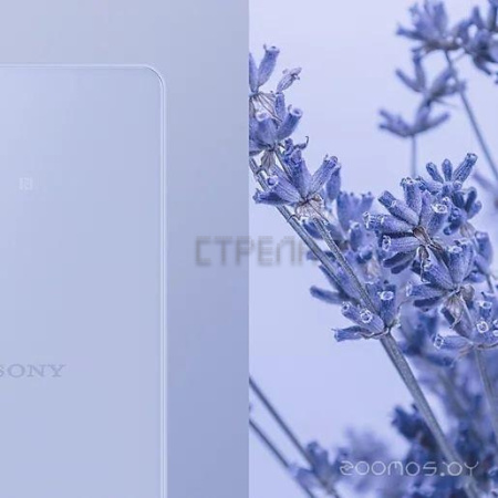 Смартфон Sony Xperia 10 V XQ-DC72 8GB/128GB (лавандовый)