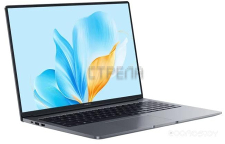 Ноутбук Honor MagicBook X16 2025 BRG-565 5301ALWS