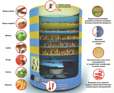 Сушилка для овощей и фруктов Элвин СУ-1