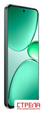Телефон Realme C85 Pro 8GB/256GB международная версия (темно-зеленый)