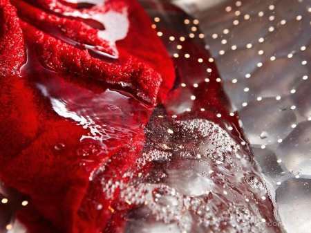 Стиральная машина Miele WWD120 WCS