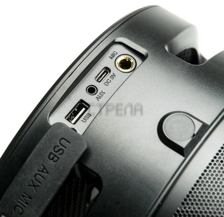 Колонка для вечеринок DIALOG AP-1030