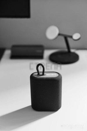 Беспроводная колонка Canyon CNE-CBTSP4BL