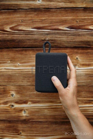 Беспроводная колонка Canyon CNE-CBTSP4BL