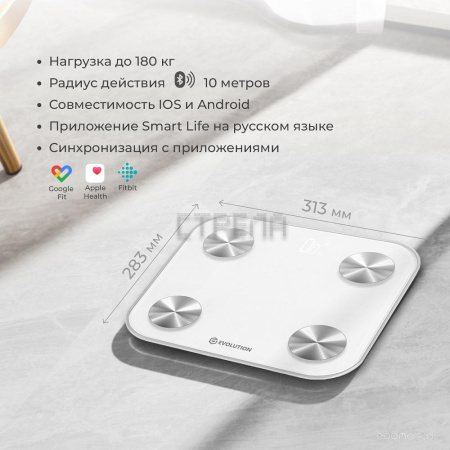 Напольные весы Evolution BTF2 (белый)