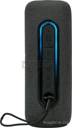 Беспроводная колонка DIALOG AP-11 (черный)