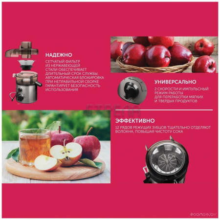 Соковыжималка Scarlett SC-JE50S18