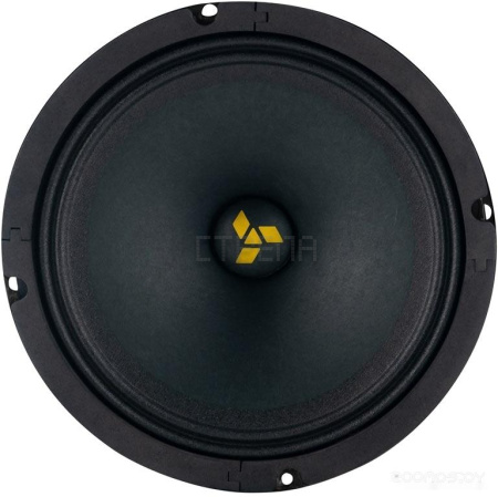 Среднечастотная АС SWAT MAS-65Pro