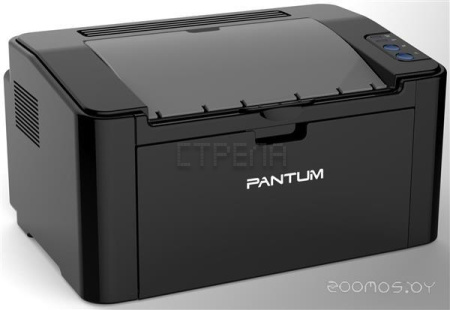 Принтер Pantum P2507