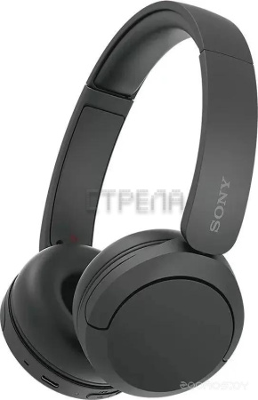 Наушники Sony WH-CH520 (черный)