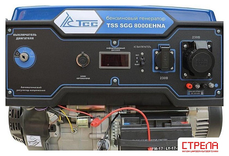 Бензиновый генератор ТСС SGG 8000EHNA