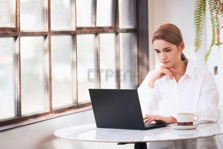 Ноутбук Asus ZenBook 14 UM3402YA-KP838