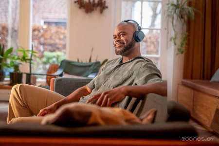 Наушники Philips TAH4209 (синий)