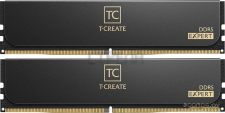 Оперативная память Team T-Create Expert 2x32ГБ DDR5 6000 МГц CTCED564G6000HC34BDC01