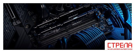 Оперативная память Kingston FURY Beast 2x32ГБ DDR5 6000 МГц KF560C36BBE2K2-64