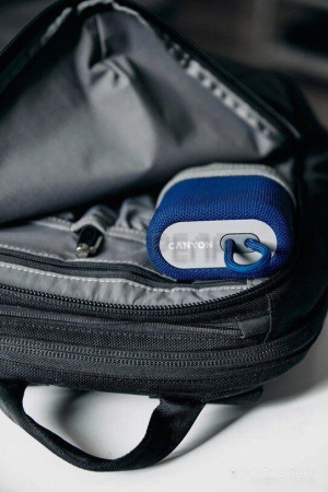 Беспроводная колонка Canyon CNE-CBTSP4BL