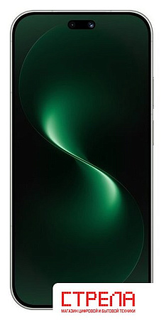 Телефон Huawei nova 15 Pro KLE-LX9 Single SIM 12GB/256GB (мятный, международная версия)