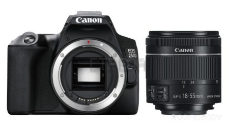 Фотоаппарат Canon EOS 250D Kit 18-55 IS STM (Black) (3454C002)