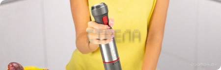 Погружной блендер Zelmer ZHB4650