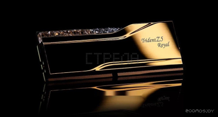 Оперативная память G.SKILL Trident Z5 Royal Neo 2x32ГБ DDR5 6000 МГц F5-6400J3039G16GX2-TR5G