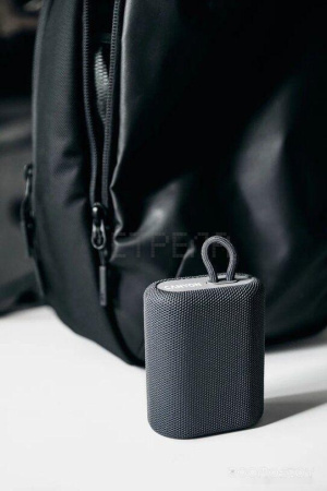 Беспроводная колонка Canyon CNE-CBTSP4BL