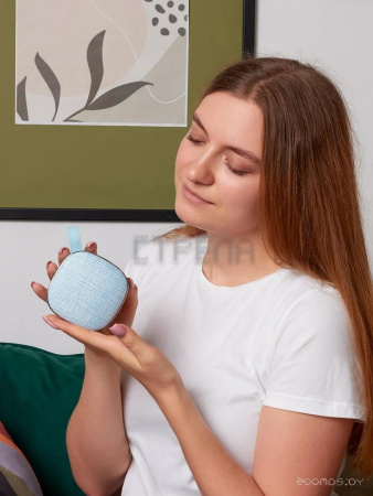 Беспроводная колонка AccesStyle Mint BT (голубой)