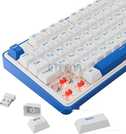 Клавиатура Redragon Faye Pro