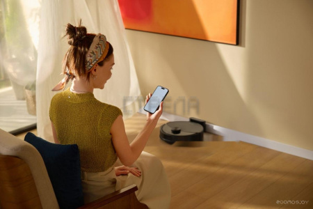 Робот-пылесос Roborock Q8 Max Pro RRA1TAL Q8MRP52-02 (с русской озвучкой, черный)