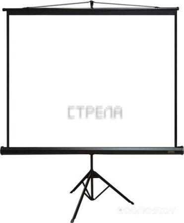 Проекционный экран PL Magna TRM-NTSC-120D