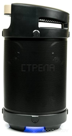 Колонка для вечеринок DIALOG AP-1030