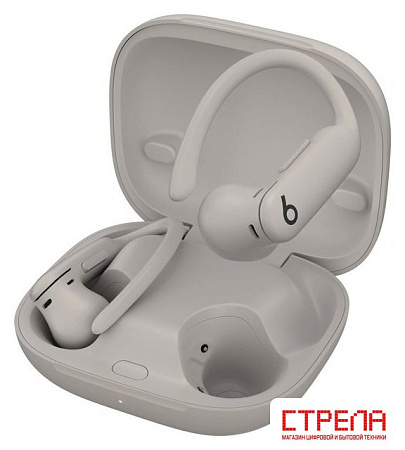 Наушники Beats Powerbeats Pro 2 (серый)
