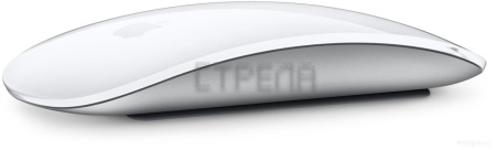 Мышь Apple Magic Mouse (белый)