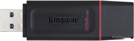 USB Flash Kingston Exodia 256GB