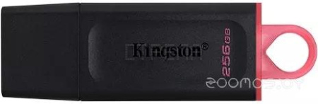 USB Flash Kingston Exodia 256GB