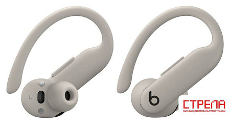 Наушники Beats Powerbeats Pro 2 (серый)