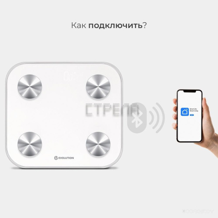 Напольные весы Evolution BTF2 (белый)